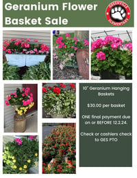 A poster with several pictures of geranium baskets