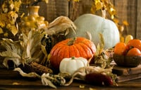 Thanksgiving scene with pumpkins and corn on a wooden backdrop